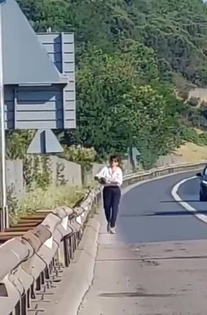 Yer: İstanbul TEM Otoyolu! Metrelerce koştu araçları tek tek durdurup hayatını kurtardı - Resim: 12